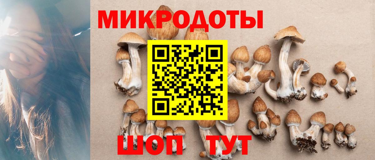 Галлюциногенные грибы MAGIC MUSHROOMS Рузаевка